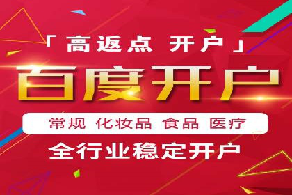 SEM推广实战：成功案例剖析
